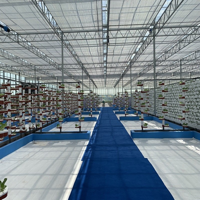 Agriculture Farming Greenhouse with Equipment for Wholesale Multi Span Green House for Vegetable Planting