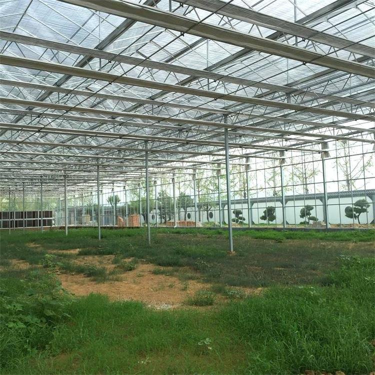 Agriculture Farming Greenhouse with Equipment for Wholesale Multi Span Green House for Vegetable Planting