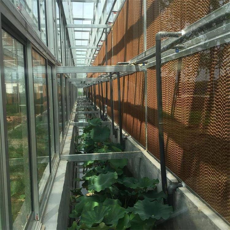 Agriculture Farming Greenhouse with Equipment for Wholesale Multi Span Green House for Vegetable Planting