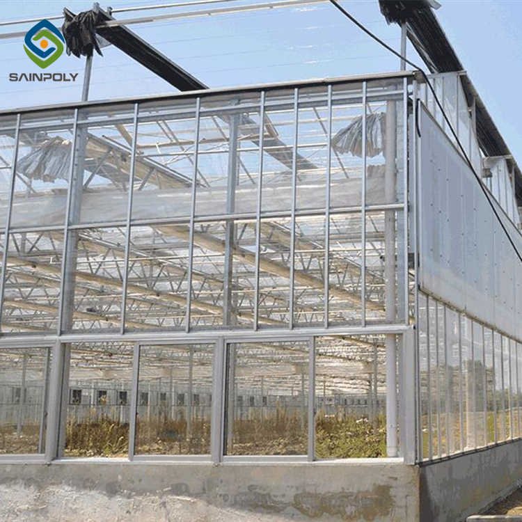 Sainpoly Large Size Glass Greenhouse High Quality Multi-Span with Steel Frame Low Cost for Agricultural Use