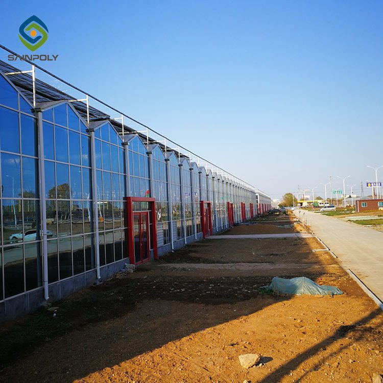 Sainpoly Large Size Glass Greenhouse High Quality Multi-Span with Steel Frame Low Cost for Agricultural Use
