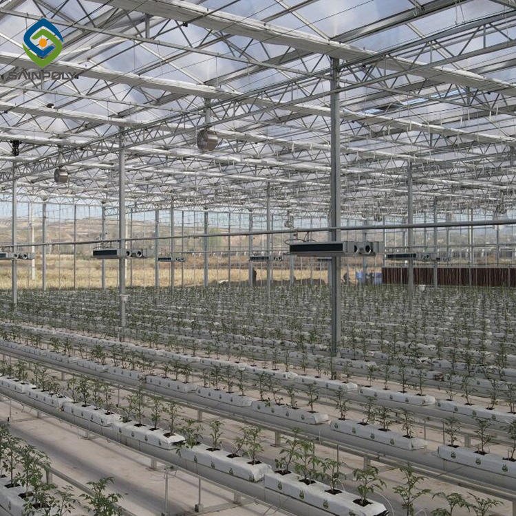Sainpoly Large Size Glass Greenhouse High Quality Multi-Span with Steel Frame Low Cost for Agricultural Use