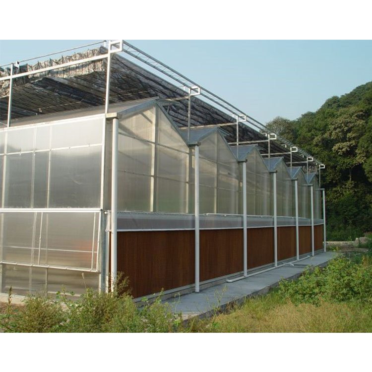 Agricultural Commercial Greenhouses PC Mini Garden Green Houses Polycarbonate Greenhouse With Drain Tray