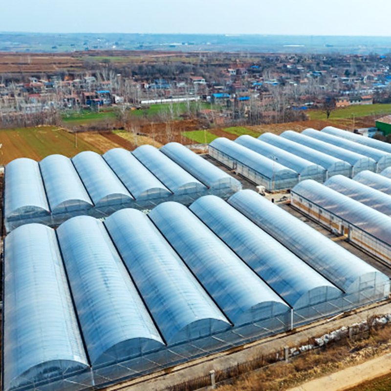solar greenhouse multi span greenhouse equipment metal frame agricultural greenhouse tunnel agricultural/commercial green house