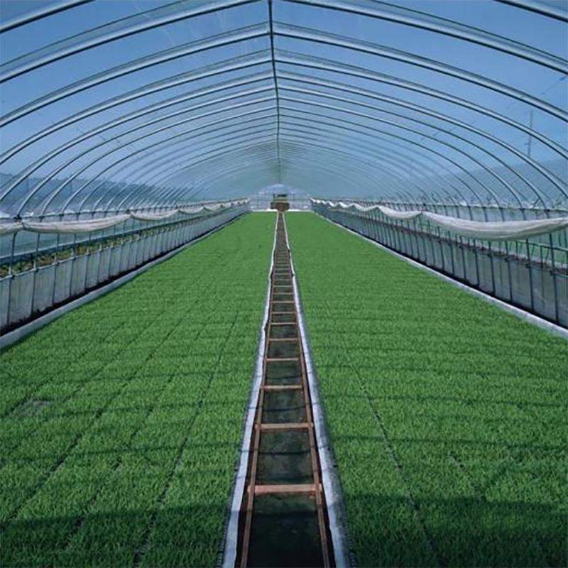 solar greenhouse multi span greenhouse equipment metal frame agricultural greenhouse tunnel agricultural/commercial green house