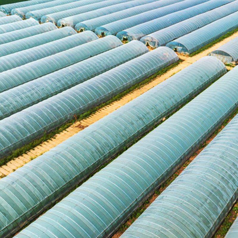 solar greenhouse multi span greenhouse equipment metal frame agricultural greenhouse tunnel agricultural/commercial green house