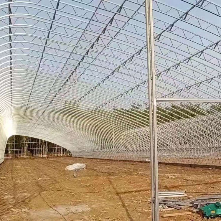 Polyethylene double wall panel greenhouse full passive solar greenhouse for winter