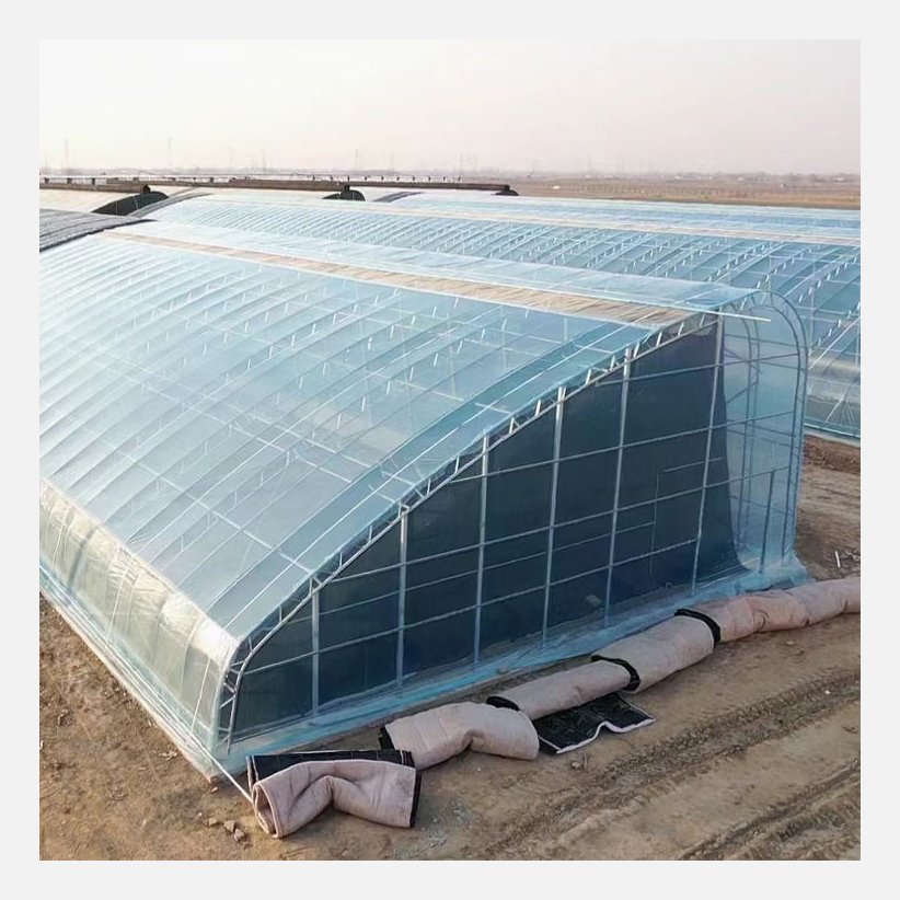 Polyethylene double wall panel greenhouse full passive solar greenhouse for winter