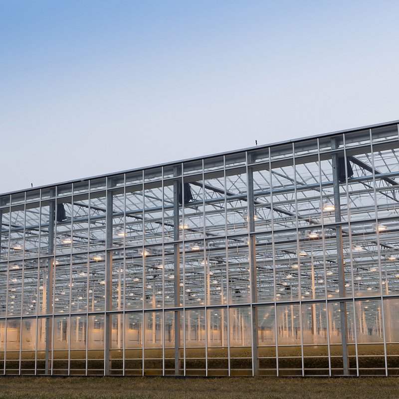 Large agriculture Chinese glass greenhouse used for sale