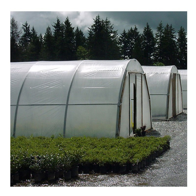 3 Layers Agricultural Greenhouse film Single Span Tunnel Green House Films