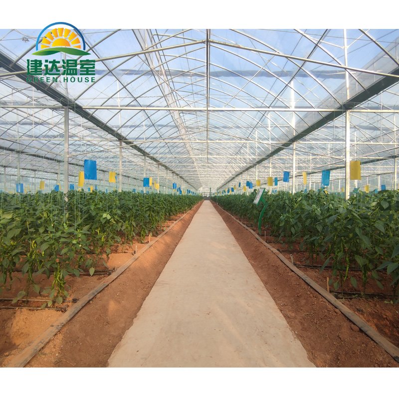 Multi-span Greenhouse Agricultural Greenhouse film greenhouse planting green house