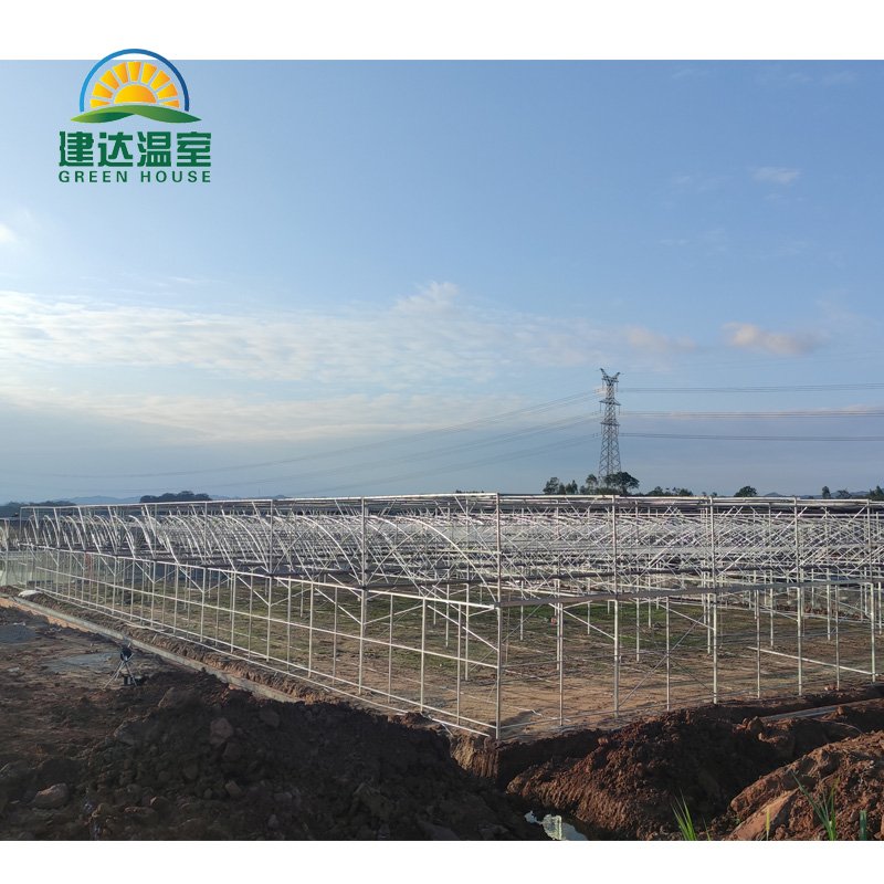 Multi-span Greenhouse Agricultural Greenhouse film greenhouse planting green house