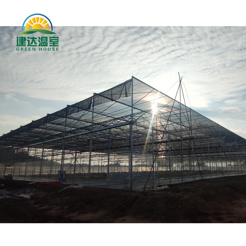 Multi-span Greenhouse Agricultural Greenhouse film greenhouse planting green house