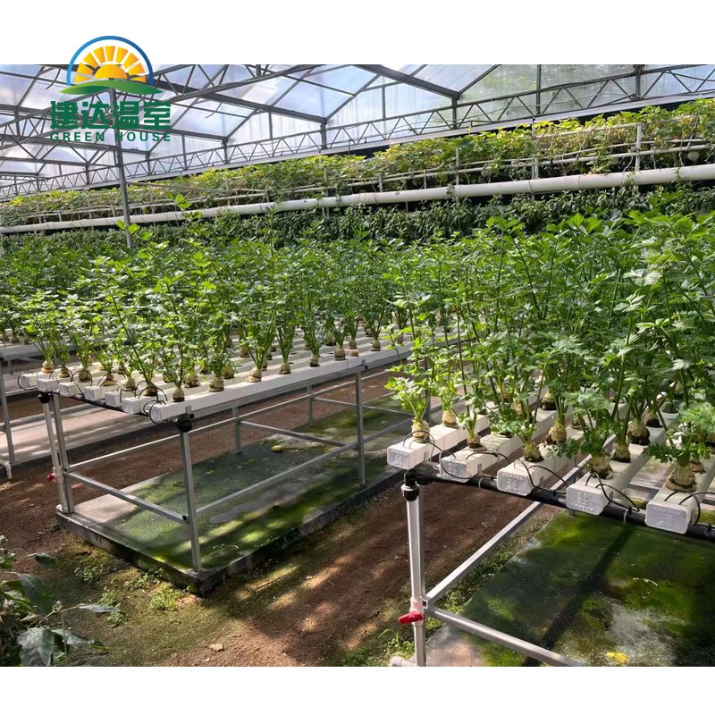 Multi-span Greenhouse Agricultural Greenhouse film greenhouse planting green house