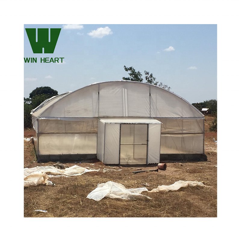 2024 Farming Single-Span Tunnel Agricultural Greenhouses with Irrigation and Hydroponic Growing System
