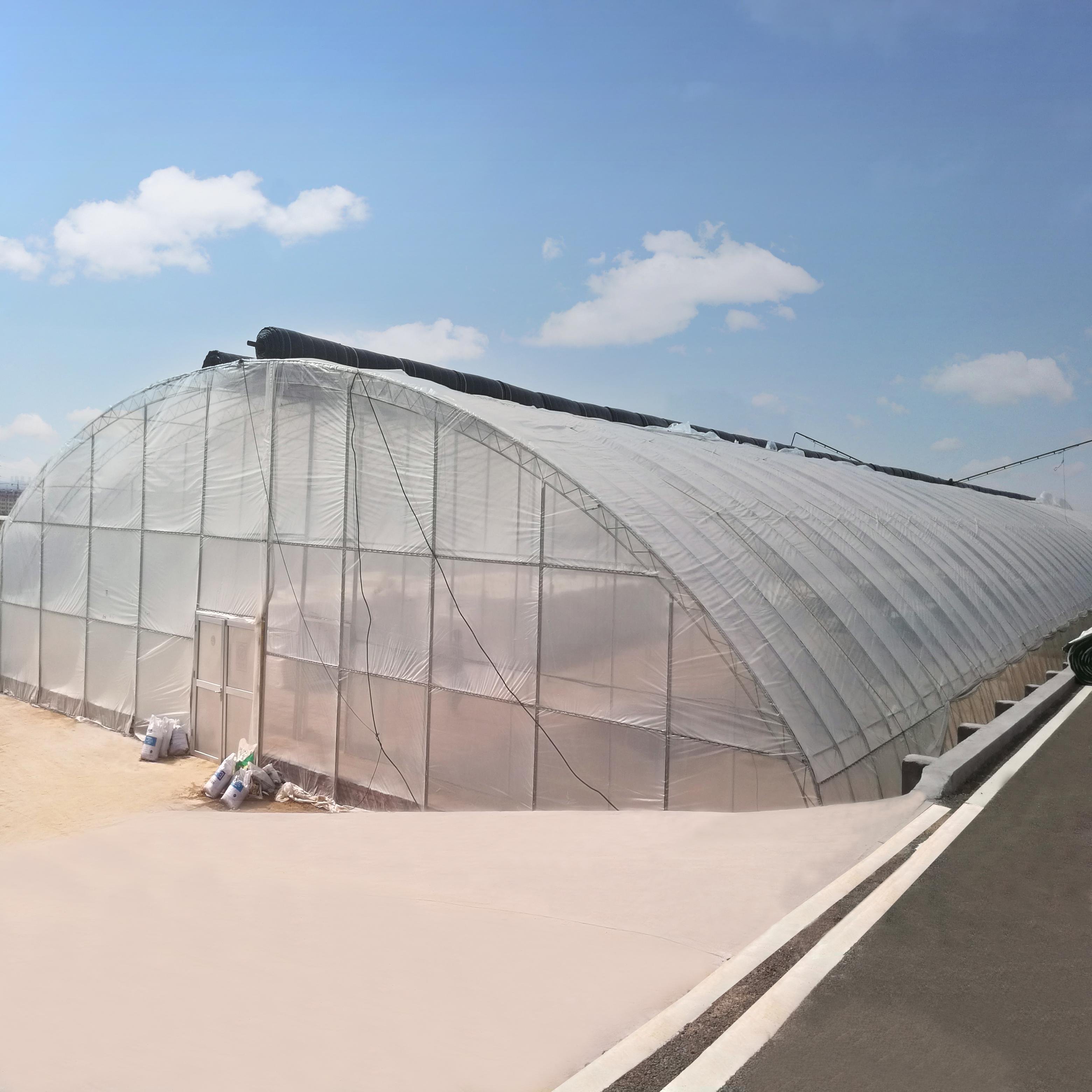 Low Cost Poly Tunnel Agricultural Greenhouse Supplier Arch Green house