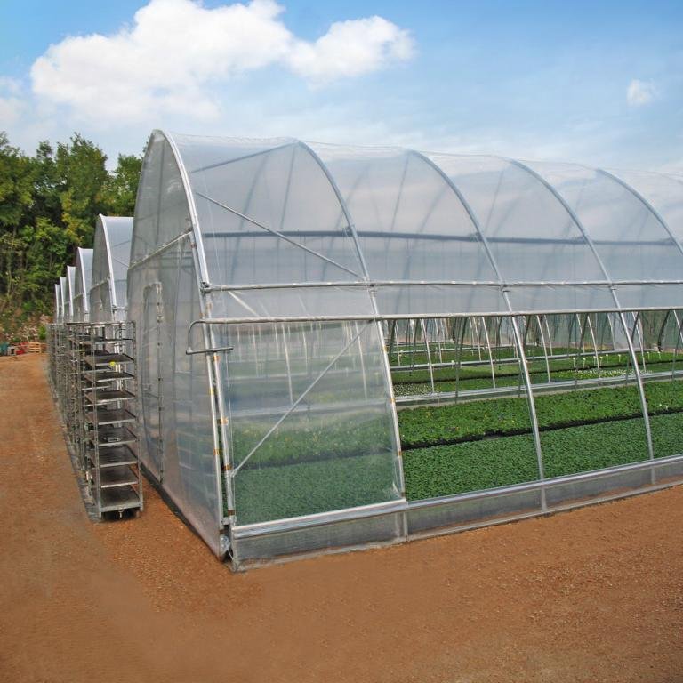 Low Cost Poly Tunnel Agricultural Greenhouse Supplier Arch Green house