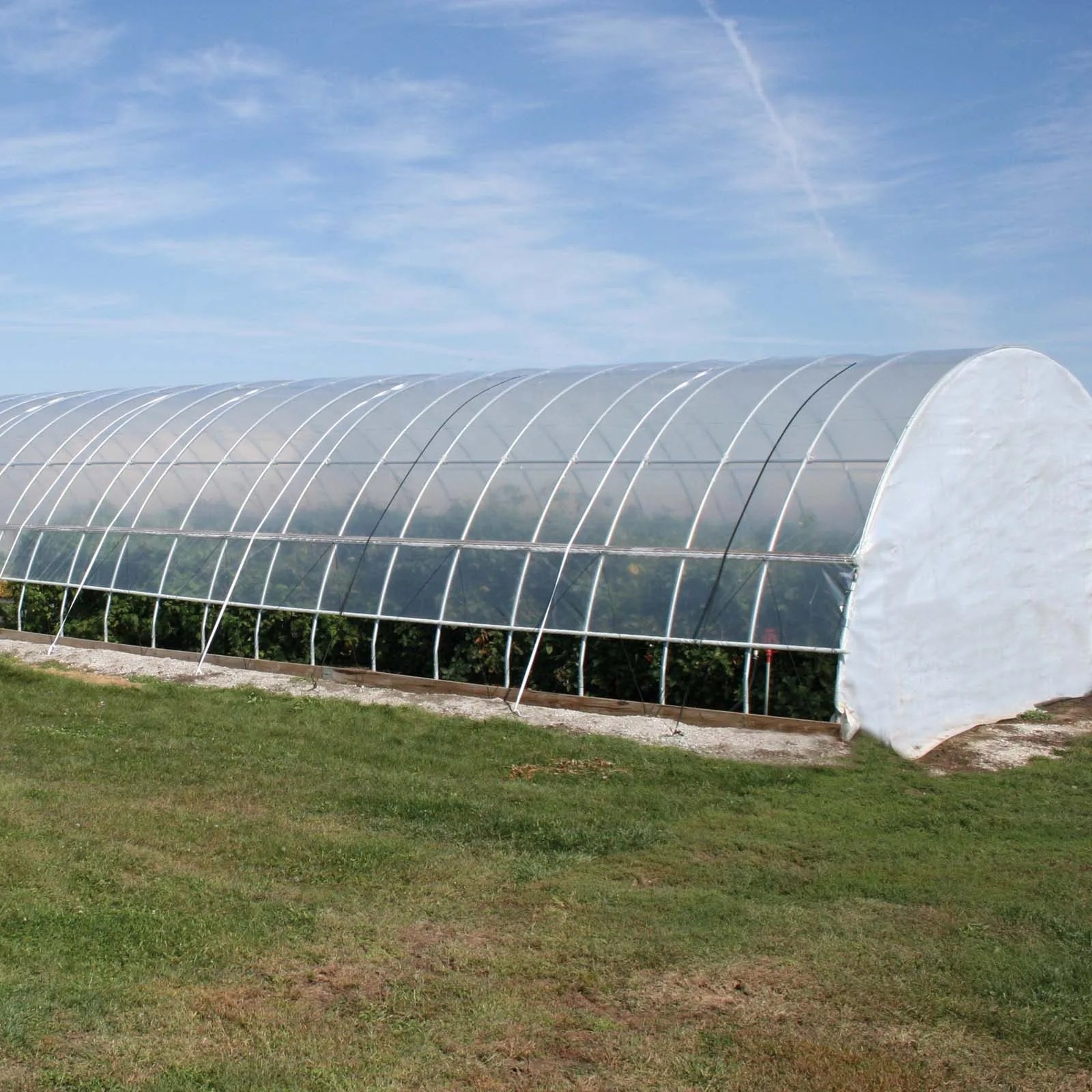 Low Cost Poly Tunnel Agricultural Greenhouse Supplier Arch Green house
