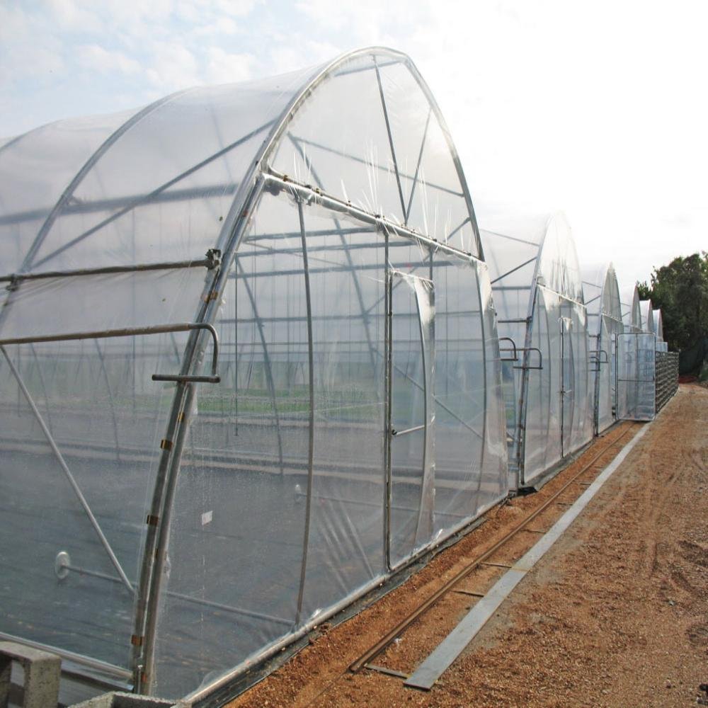 Low Cost Poly Tunnel Agricultural Greenhouse Supplier Arch Green house