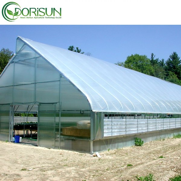 Large Agricultural Greenhouses And Farm tunnel Greenhouse plastic film Cultivation Shed Skeleton greenhouse