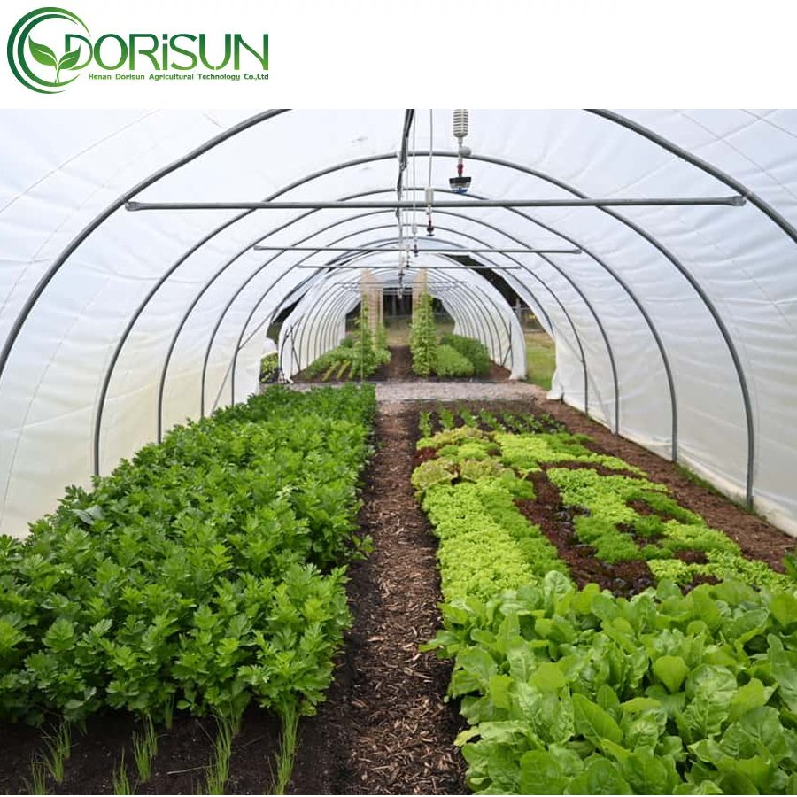 Large Agricultural Greenhouses And Farm tunnel Greenhouse plastic film Cultivation Shed Skeleton greenhouse