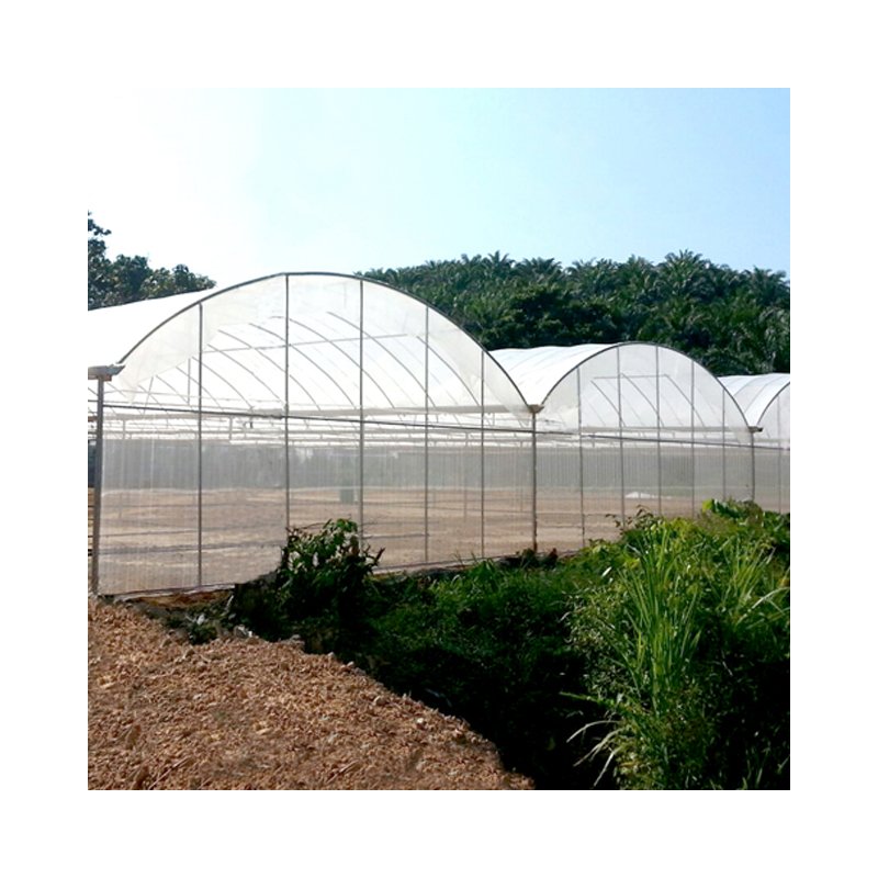 Multi-span greenhouses agricultural greenhouse with hydroponic system for sale