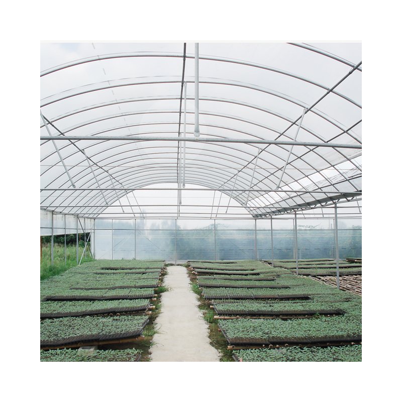 Multi-span greenhouses agricultural greenhouse with hydroponic system for sale