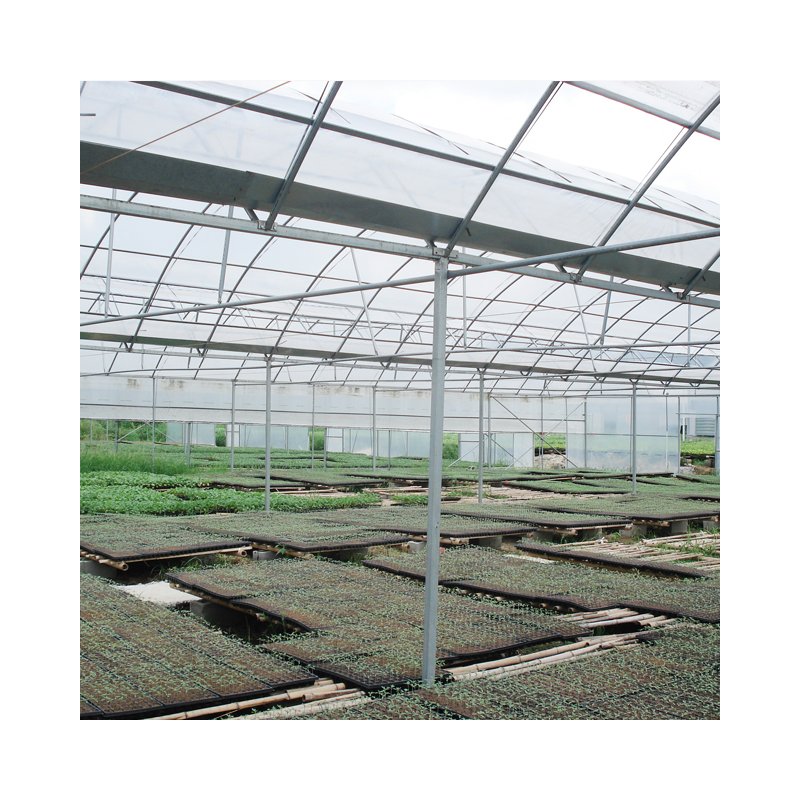 Multi-span greenhouses agricultural greenhouse with hydroponic system for sale