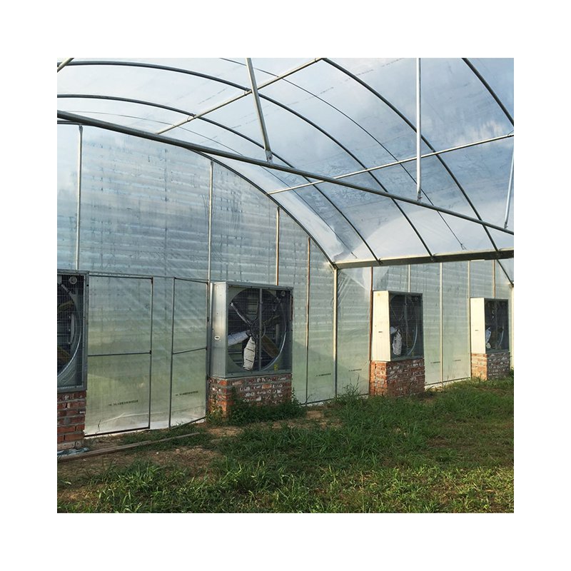 Multi-span greenhouses agricultural greenhouse with hydroponic system for sale