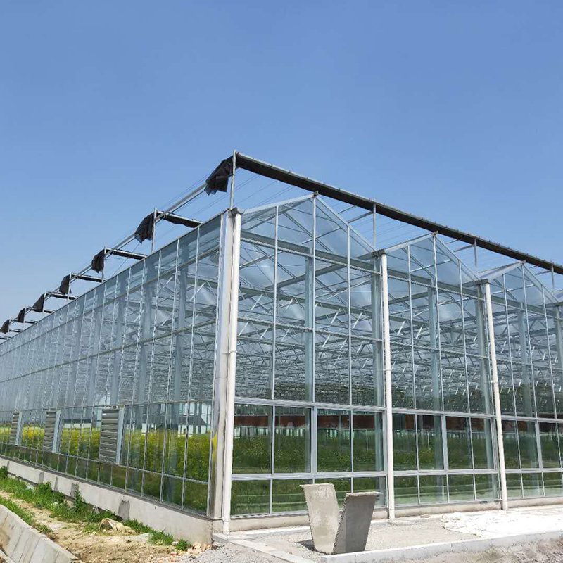 Large Multi-Span Agricultural Greenhouses for Flower & Vegetable Growing Tropical Solar C Stable Structure with Glass Material