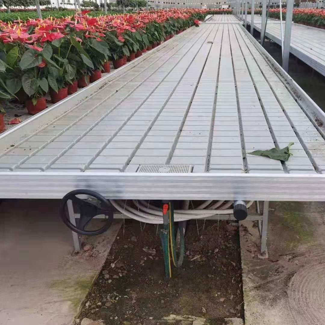 Agricultural greenhouse seedbed ebb and flow trays flood and drain table / flood table rolling benches
