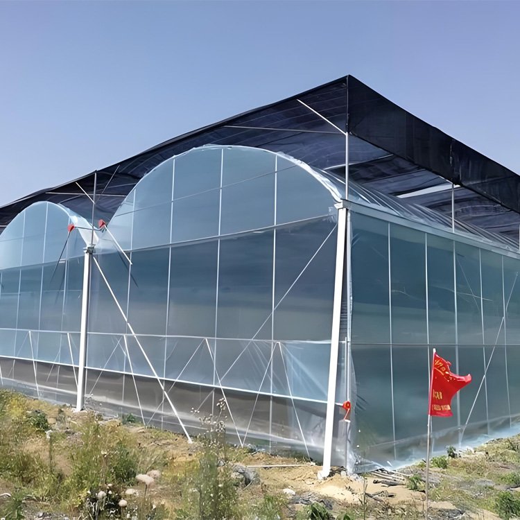 Yellow/Transparent Multifunctional Plastic 150 micron Greenhouse Cover Film for Agricultural