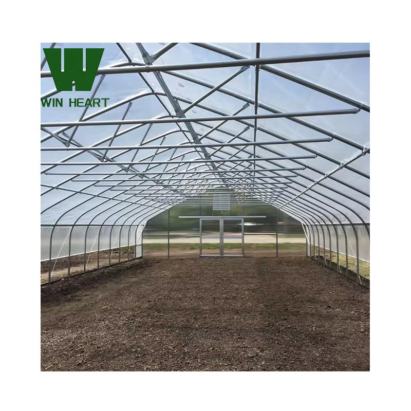 Win Heart Modern Agriculture Commercial Gothic Tomato Hydroponics Film Greenhouse