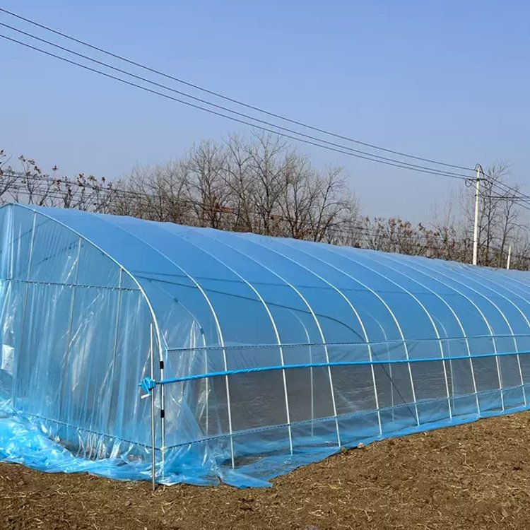 Factory Direct Supply Agricultural Greenhouse Plastic Film UV Resistant Greenhouse Film