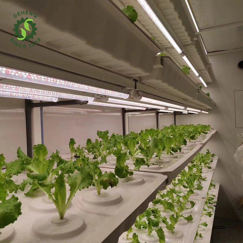 Wholesale New Innovations Farm Hydroponic Container Juldng Farm Agricultural Greenhouses In Containers