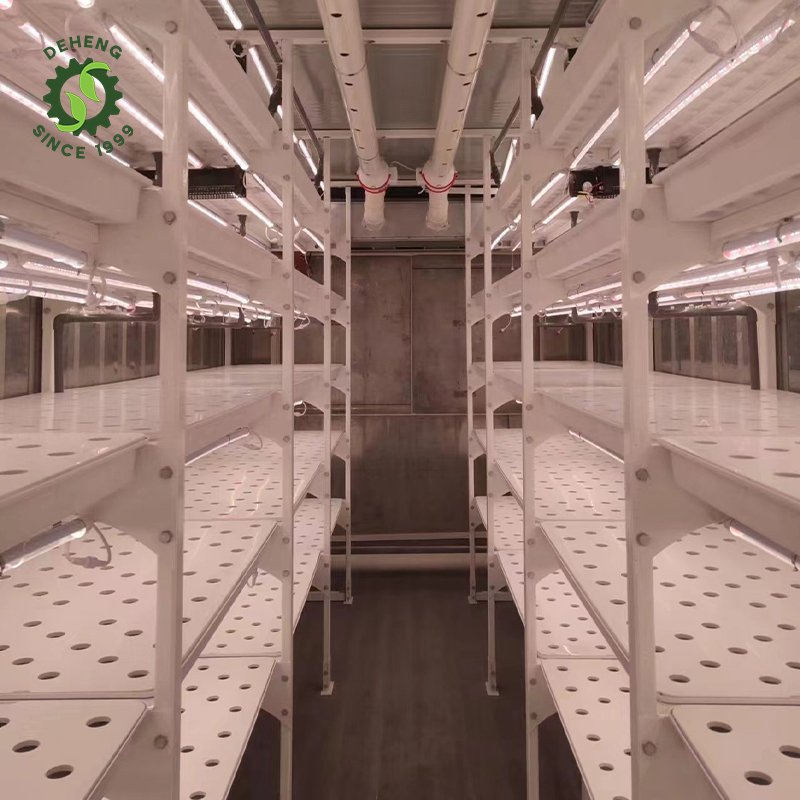 Wholesale New Innovations Farm Hydroponic Container Juldng Farm Agricultural Greenhouses In Containers