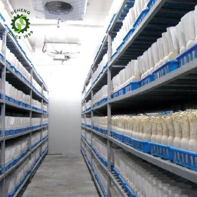 Wholesale New Innovations Farm Hydroponic Container Juldng Farm Agricultural Greenhouses In Containers