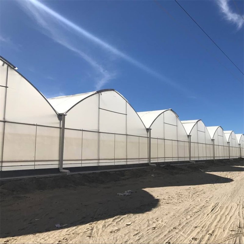 Multi-span Agricultural Greenhouses Galvanized Steel Frame Butterfly Roof Vent Greenhouse For Vegetables