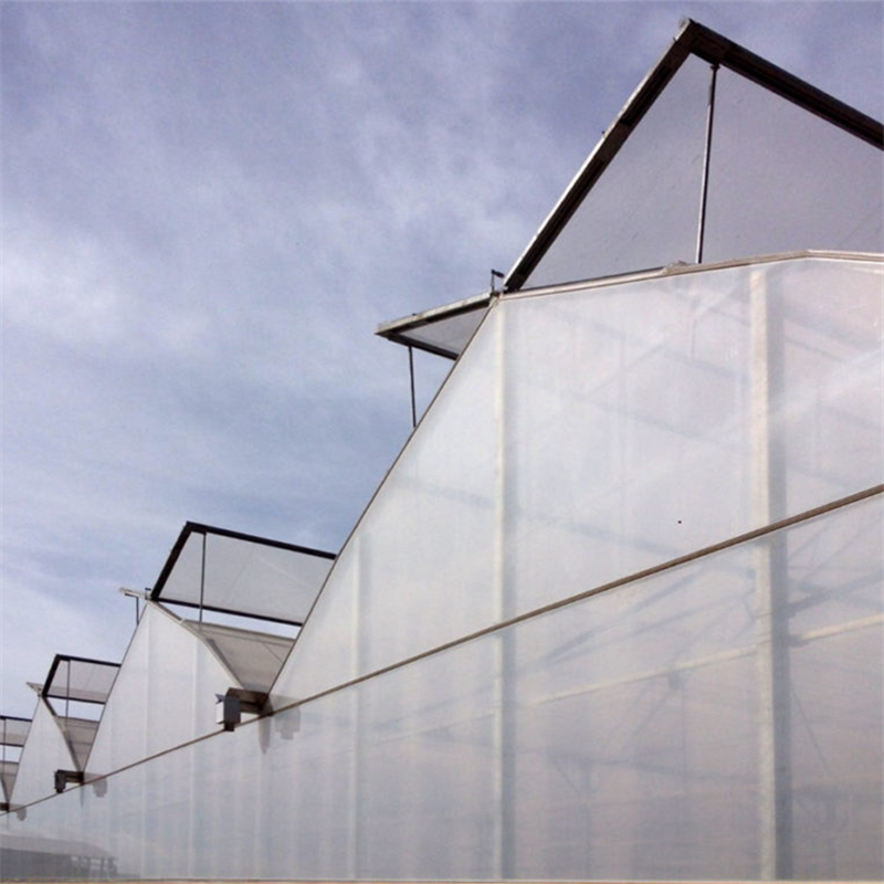 Multi-span Agricultural Greenhouses Galvanized Steel Frame Butterfly Roof Vent Greenhouse For Vegetables