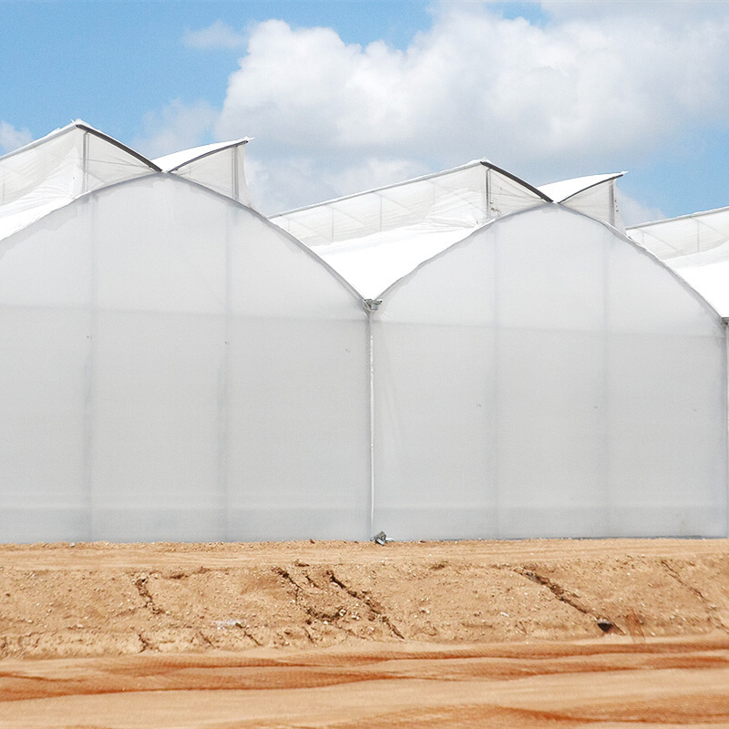 Multi-span Agricultural Greenhouses Galvanized Steel Frame Butterfly Roof Vent Greenhouse For Vegetables