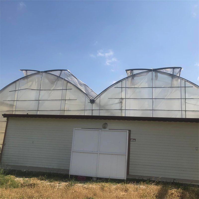 Multi-span Agricultural Greenhouses Galvanized Steel Frame Butterfly Roof Vent Greenhouse For Vegetables
