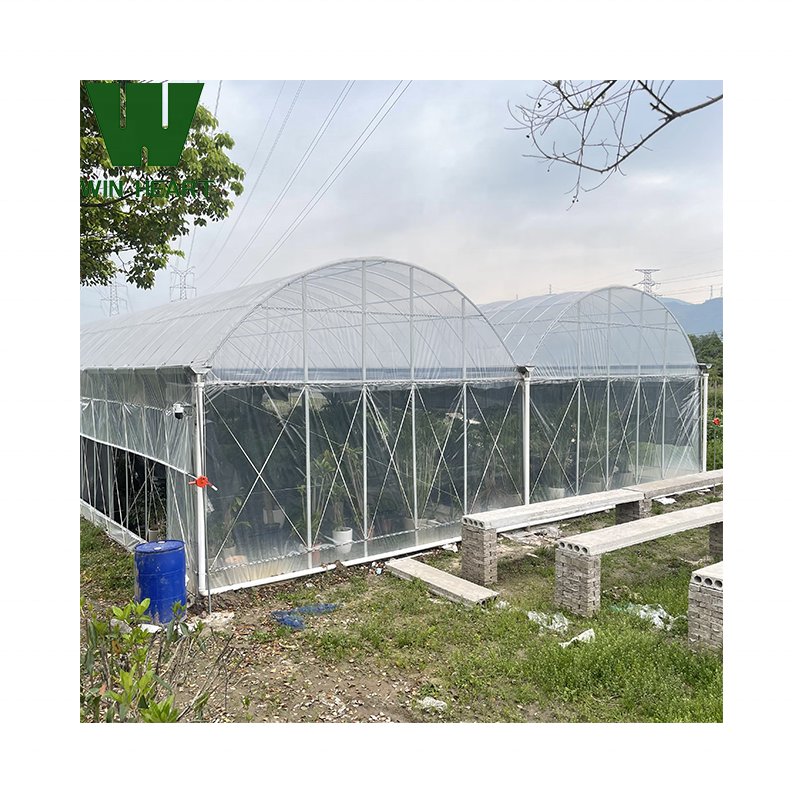 Double Span Multi-Tunnel Greenhouses siding Vent greenhouse