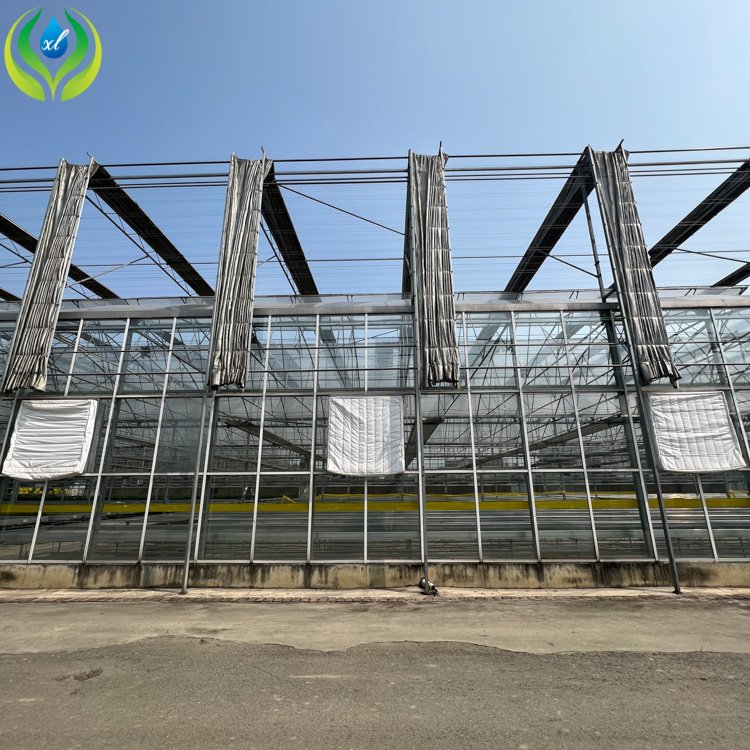 MYXL 300 Square Meter Tunnel Uv Plastic Sheets Glass Greenhouse tomato and strawberry greenhouse turnkey project