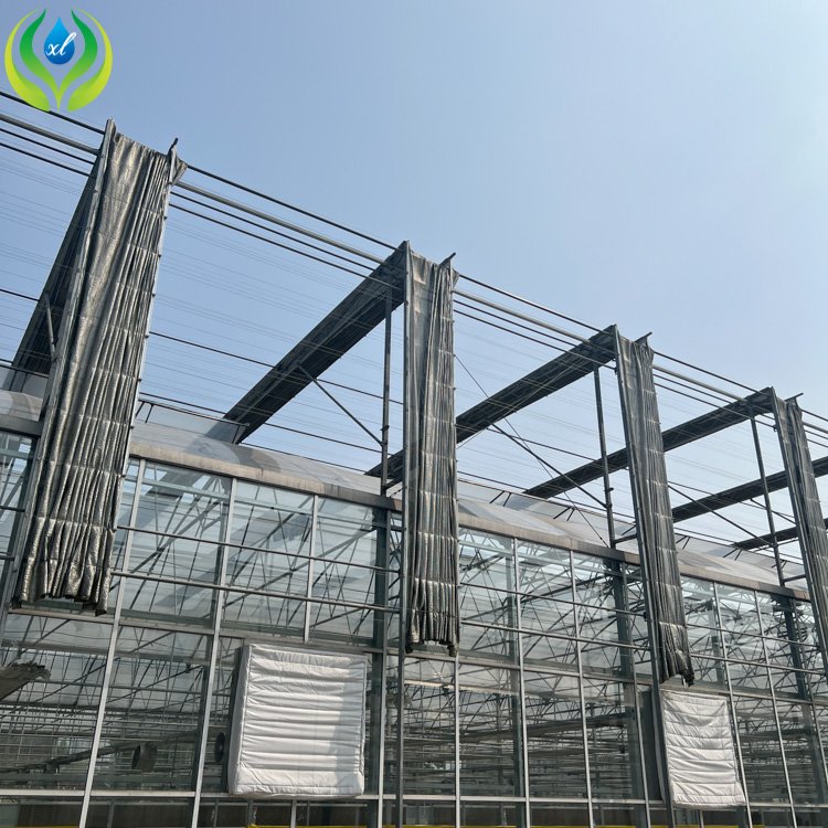 MYXL 300 Square Meter Tunnel Uv Plastic Sheets Glass Greenhouse tomato and strawberry greenhouse turnkey project