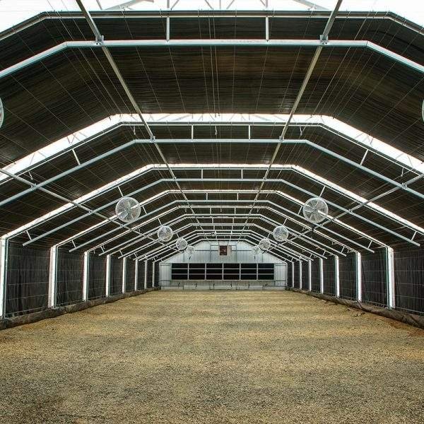One-One Large Greenhouse with Cooling System New Design Galvanized Steel Frame PE Film Material for Plant Use in Agriculture