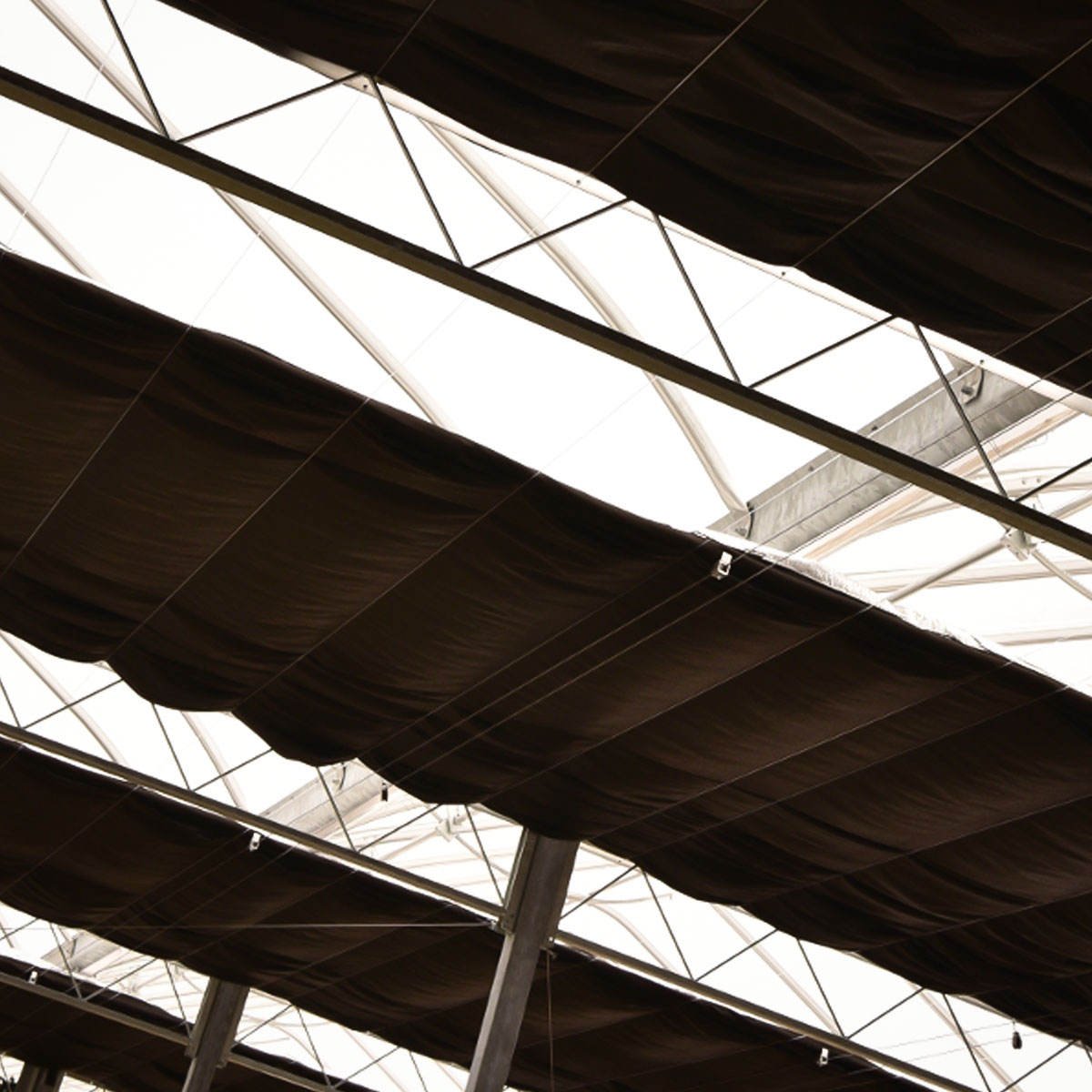 One-One Large Greenhouse with Cooling System New Design Galvanized Steel Frame PE Film Material for Plant Use in Agriculture