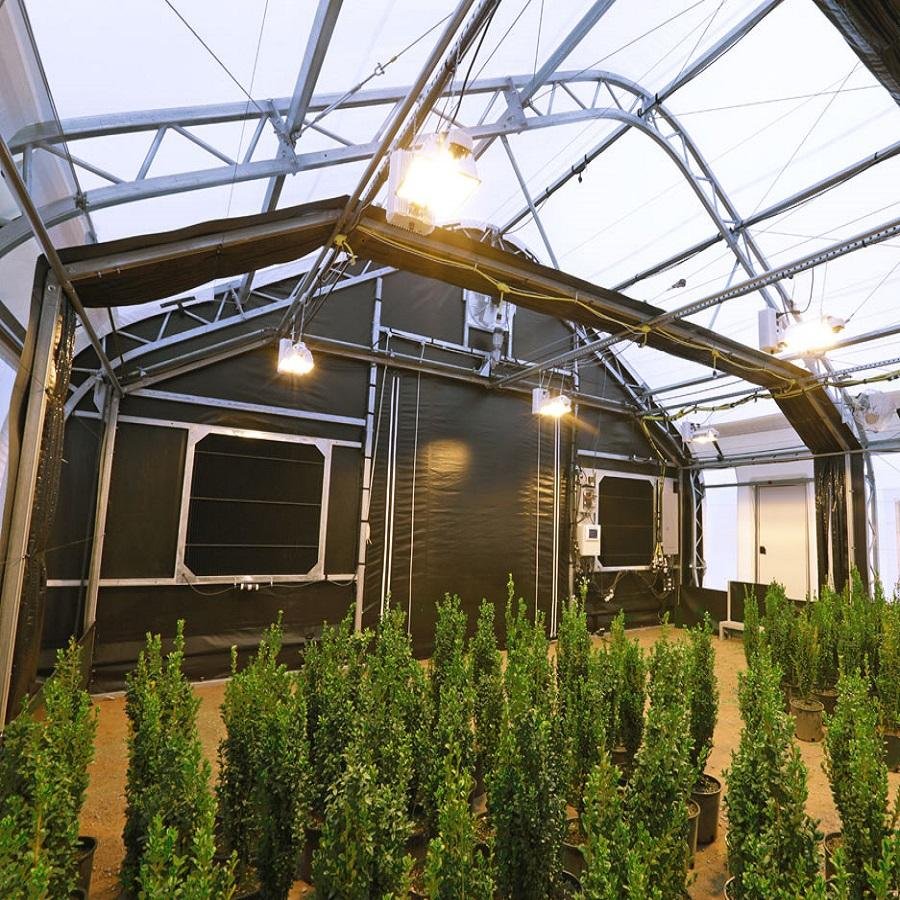 One-One Large Greenhouse with Cooling System New Design Galvanized Steel Frame PE Film Material for Plant Use in Agriculture