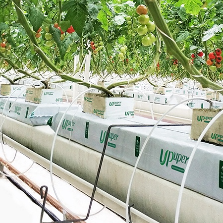 UPuper agricultural greenhouses automated drip system horticulture unislab rock wool hydroponic slabs