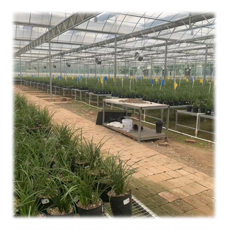 Altaqua Control Humidity Temperature HVAC System Commercial Greenhouse Agriculture Greenhouse