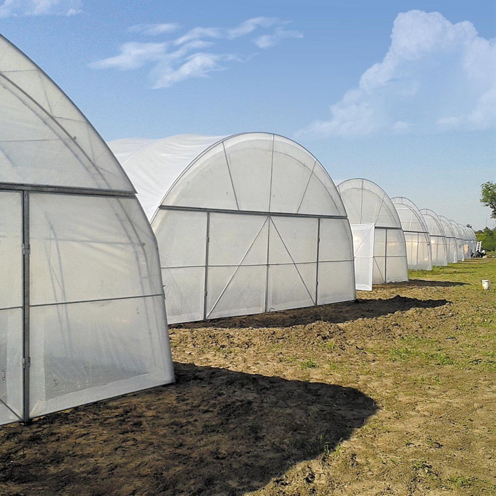 China Manufacturer Flower Greenhouse PE Greenhouse Film